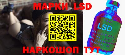 стаф Будённовск