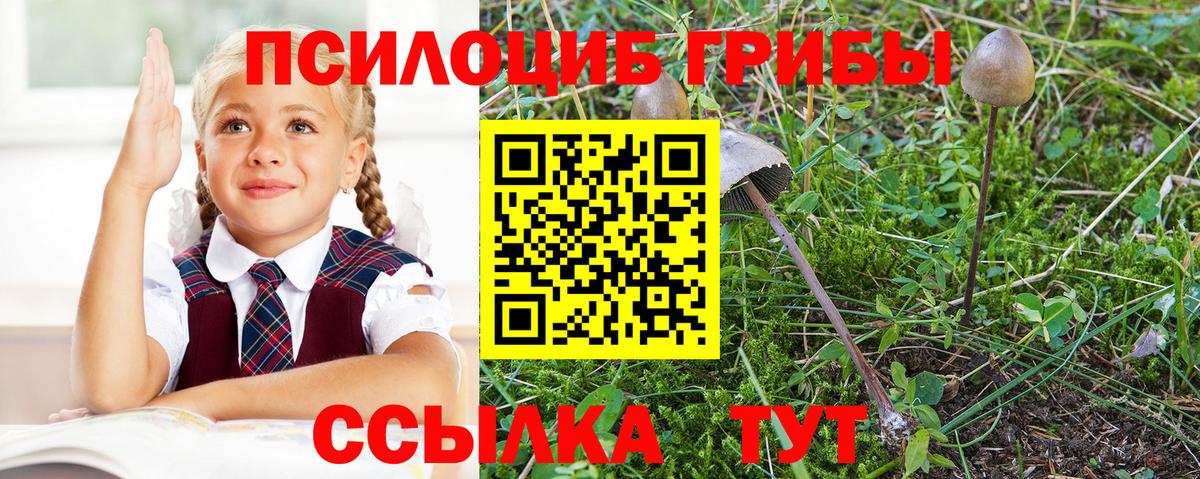 Галлюциногенные грибы мицелий Южноуральск